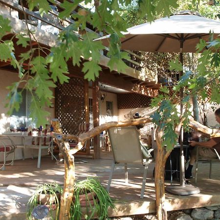 جوليان Wikiup Hummingbird Hotel المظهر الخارجي الصورة