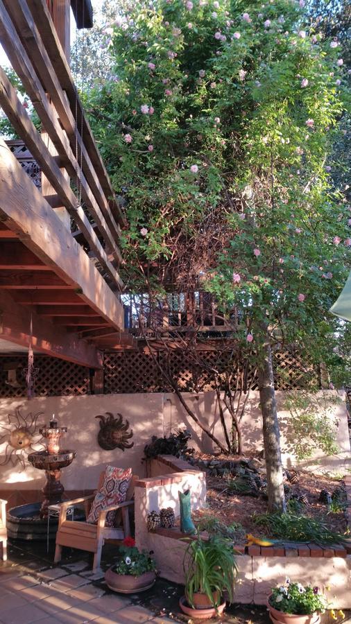 جوليان Wikiup Hummingbird Hotel المظهر الخارجي الصورة